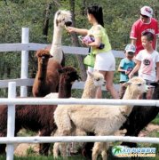 ���B㑺�����9��19��ǰ���M