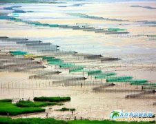 ����ϼ�����Σ�����ϼ�����ι��ԣ��w�m��Ⱦ�ĺ�����Դ