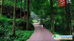 �ɶ���������ã��������к�ȥ̎