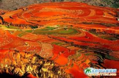 �������ϣ������L(f��ng)���^�p