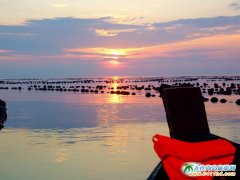 butterflies-are-gross