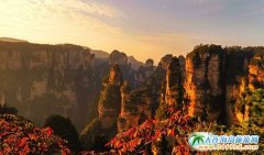 ��ɫ���˽k��������ʡ������ҽ�gӭ��