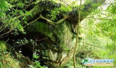 �_��̩��������o�أ��_������������ľ�^(q��)