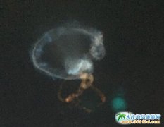 �½��젖���@�F(xi��n)��������