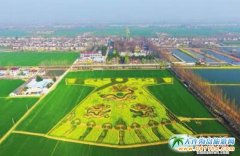 KʡϾϿhͲ˻ʢ_ۈD