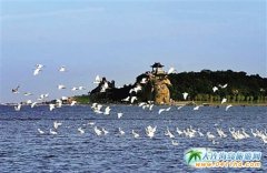 �|�����Ό���̫���� ���_һ�Єe�e�^