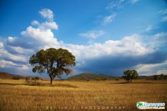 (ni)ɹŞmy(tng)ԭ＾@Gr(sh)