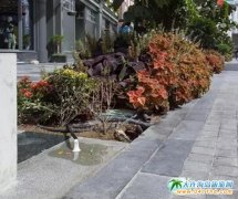 �ϰݳ����е�С�@ϲ