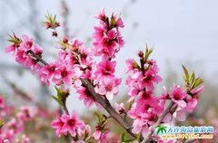 㑺һػݣB㑺ȼم^(q)(yu)ݻ