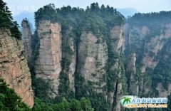 大連到張家界8月旅游旺季去張家界旅游要注意些什么