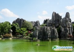 ȸlɺ{о߅3w6