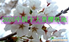 ѻЇPc2025Їʮѻٵؼpѹ